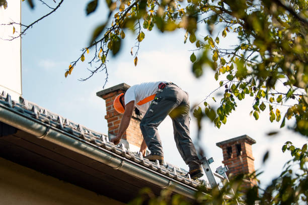 Best Commercial Roofing Services  in Hallsville, MO