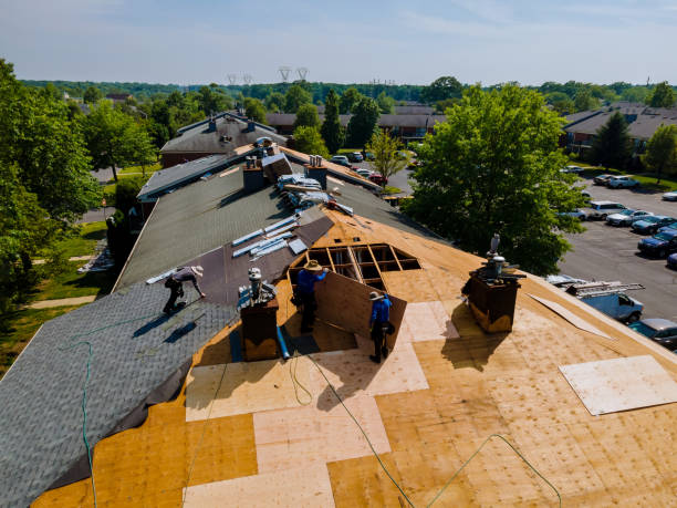 Best Metal Roofing Contractor  in Hallsville, MO