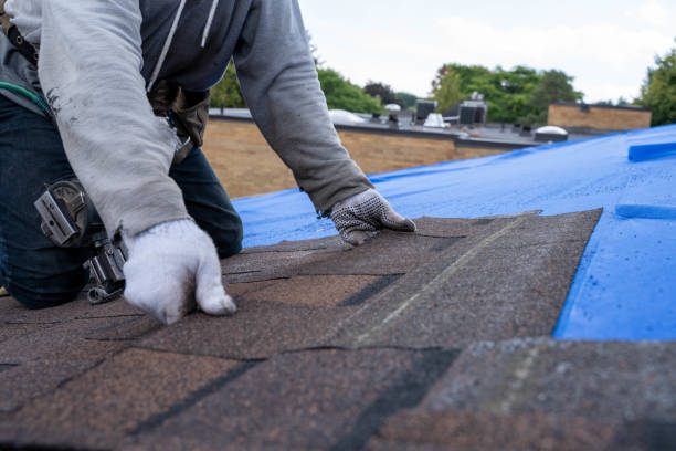 Best Emergency Roof Repair  in Hallsville, MO