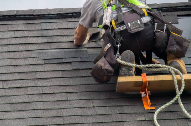 Best Metal Roofing Contractor  in Hallsville, MO