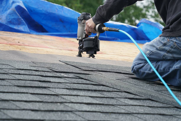 Best Roof Leak Repair  in Hallsville, MO