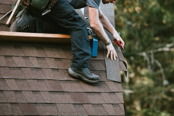 Best Local Roofing Companies  in Hallsville, MO